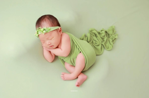 柳林宝宝的奇思妙想 柳林宝宝的奇思妙想